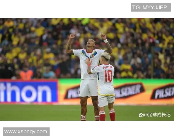 厄瓜多尔对阵智利精彩360视频直播全程回放与赛后分析