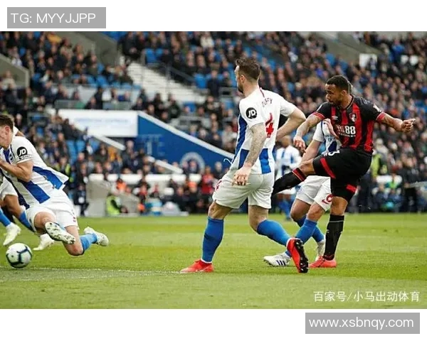 卡迪夫主场迎战布莱顿期待精彩对决双方争夺宝贵积分