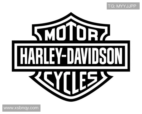 戴维森与贴吧的较量：网络文化的碰撞与思考