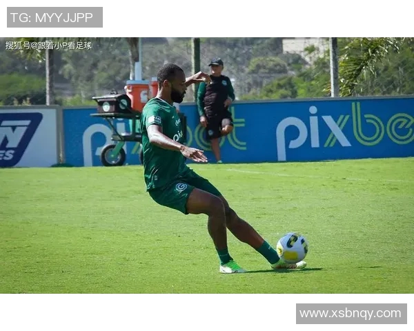 格雷米奥主场迎战戈亚斯全力争胜展现球队实力与斗志