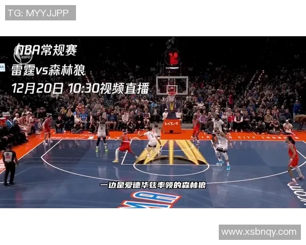 森林狼与黄蜂精彩对决全场录像回放分析与精彩瞬间分享