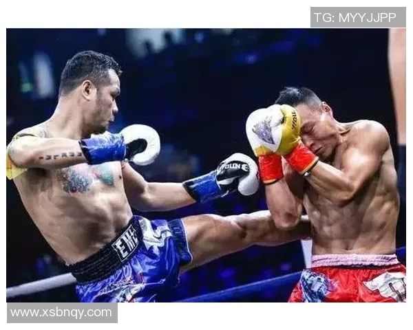 雅桑克莱与一龙巅峰对决谁能在搏击界书写新的传奇