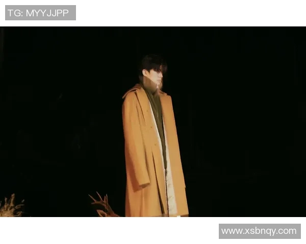 陈林坚的篮球之路：从青涩少年到职业明星的成长故事