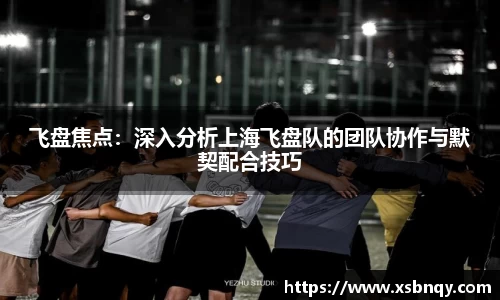 飞盘焦点：深入分析上海飞盘队的团队协作与默契配合技巧