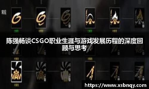 陈强畅谈CSGO职业生涯与游戏发展历程的深度回顾与思考