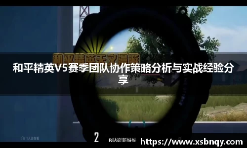 和平精英V5赛季团队协作策略分析与实战经验分享