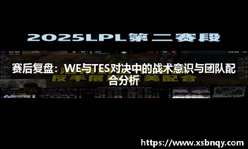 赛后复盘：WE与TES对决中的战术意识与团队配合分析