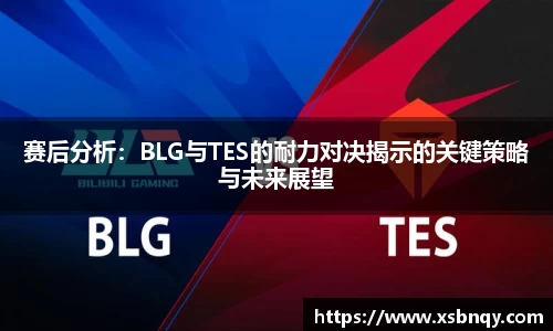 赛后分析：BLG与TES的耐力对决揭示的关键策略与未来展望