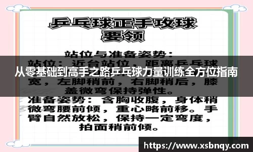 从零基础到高手之路乒乓球力量训练全方位指南