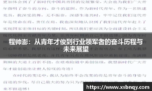 程帅澎：从青年才俊到行业领军者的奋斗历程与未来展望