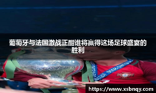 葡萄牙与法国激战正酣谁将赢得这场足球盛宴的胜利