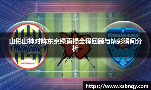 山形山神对阵东京绿直播全程回顾与精彩瞬间分析