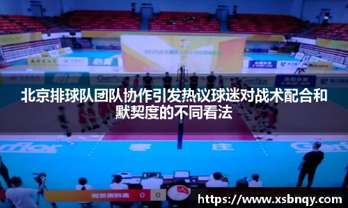 北京排球队团队协作引发热议球迷对战术配合和默契度的不同看法