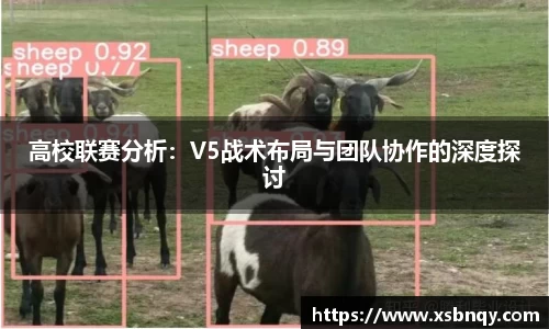 高校联赛分析：V5战术布局与团队协作的深度探讨