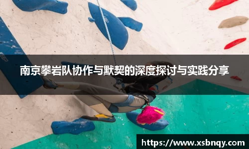 南京攀岩队协作与默契的深度探讨与实践分享